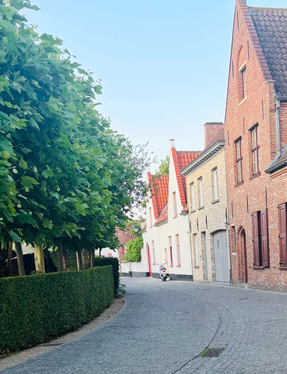 De Speystraat in de andere richting: een gebogen kasseiweg met een rij platanen en een haag links, en witte en rode baksteengevels met pannendaken rechts